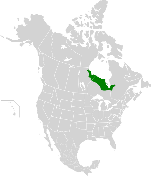 Hudson Bay Lowlands